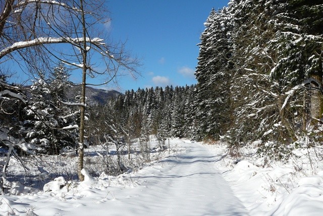 Gorski kotar